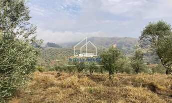 Imagem 4: Sítio à venda, Estrada do Pinhal Novo em Lorena, com uma área de 19,7 Hectares