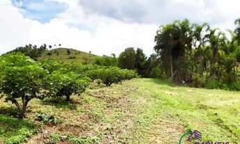 Imagem 5: SÍTIO - MORRO DAS PEDRAS - SP