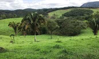 Imagem 7: Vendo fazendinha 38 hectares, região de Caeté/MG