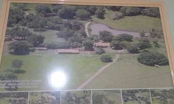 Imagem 4: Vende uma chácara a 75 km de Goiânia com 2 represa mais um rio no fundo