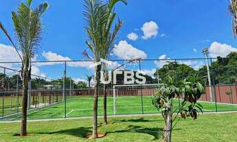 Imagem 6: Jardins Amsterdã