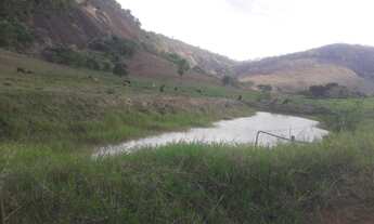 Imagem 5: Excelente sítio