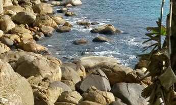 Imagem 6: Terreno na ilha grande Provetá