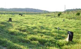 Imagem: Terra 20 Alqueires 11.000 por alqueires