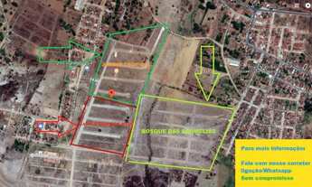 Imagem: Loteamento Jaime Soares de Melo em Palmeira