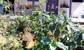 Imagem 2: Casa em Linhares