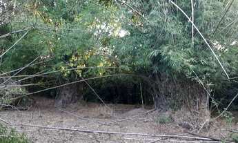 Imagem 3: CAPELA DE SANTANA - Terreno Padrão - Boa Vista