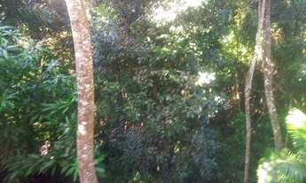 Imagem 5: Casimiro de Abreu - Casa Padrão - Outros