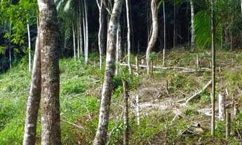 Imagem 5: TERRENO TERESÓPOLIS PRATA