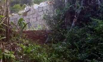 Imagem 4: Terreno para vender na Costa de Dentro