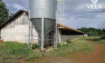 Imagem 6: Chácara à venda, 10000 m² por R$ 450.000 - Rural - Guaraniaçu/PR