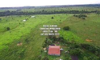 Imagem: 123 Alqueires pecuária e Lavoura