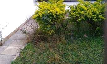 Imagem 7: SOBRADO - ÁGUA RASA - SP