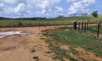 Imagem 3: Fazenda Pecuária no Sul da Bahia - OPORTUNIDADE