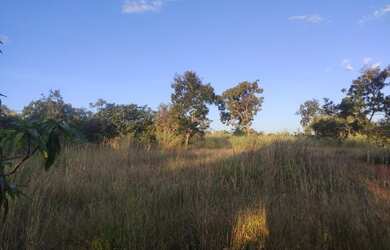 Imagem 6: Excelente oportunidade! Vendo ótima chácara no Bonsucesso