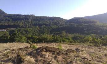 Imagem 5: Rolante - Terras / sítio/ Chácara 22.7 Hectares