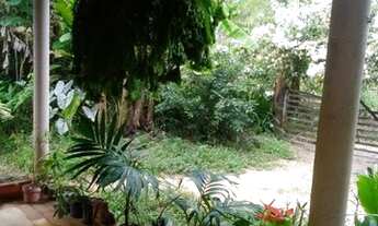 Imagem 7: São Miguel dos Milagres -AL