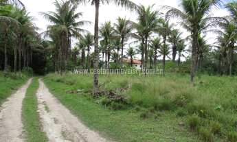 Imagem 5: Sítio para venda de 26.000m² com 4 quartos