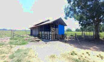 Imagem 5: Sítio com 3,5h, casa, galpão, piscina em Triunfo - Aceito veículo