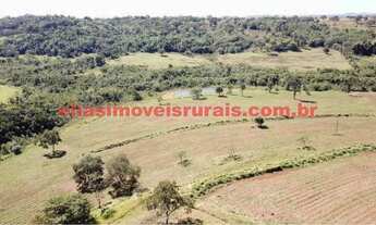 Imagem 5: Fazenda 11,26 alqueires - Pecuária leiteira - Uberlândia