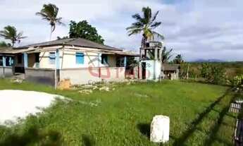 Imagem 3: Vende-se Fazenda 137 Alquerões pecuária a 35 km da BR-101 Sta. Luzia BA