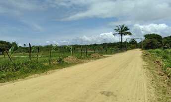 Imagem 5: Terreno na ilha de Itaparica ( berlinque