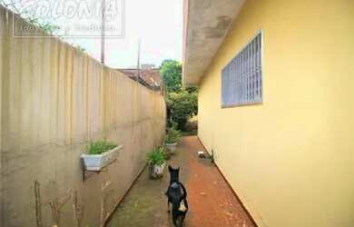 Imagem 3: Santo André - Casa Padrão - Campestre