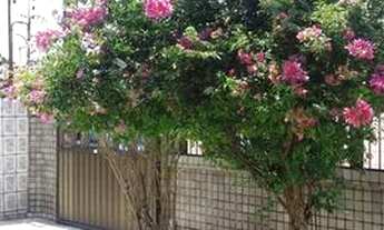 Imagem 5: Casa no Japiim com 3 quartos, semi mobiliada em ótima localização