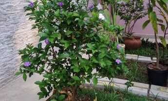 Imagem 3: 88* Compre seu imóvel no ABCDM