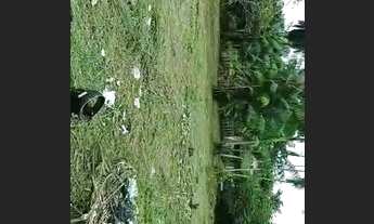 Imagem 5: Terreno top Terreno / lote com venda por R$9.500