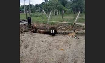 Imagem 5: Terreno plano Terreno / lote com venda por R$5.000