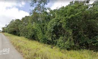 Imagem 3: Vendo Area Rural 24.000m² Excelente para Loteamento