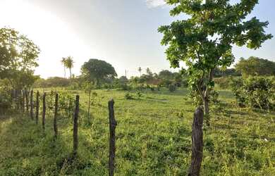 Imagem 2: Terreno próximo à lagoa do banana