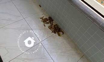 Imagem 3: Apartamento de altíssimo padrão com 3 quartos sendo 1 suíte com 75m² no melhor do Colibris