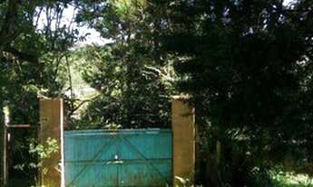 Imagem 4: Sítio, Paiol do Meio, São Lourenço da Serra - R$ 2.200.000,00, 22.250m² - Codigo: 2883