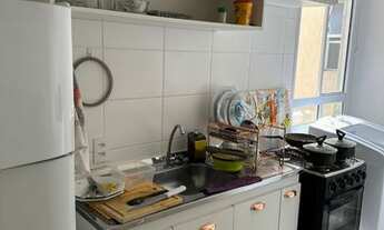 Imagem 4: Reserva da Cidade