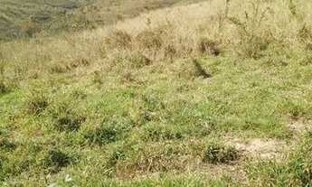 Imagem: Bela chácara a 10 km da BR 190