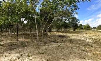 Imagem 7: ? ÁREA COM 5.000 MIL METROS QUADRADOS - ESQUINA, AVENIDA PRINCIPAL JÁ CERCADA!