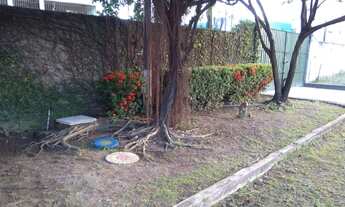 Imagem 3: Casa em Cajueiro Seco