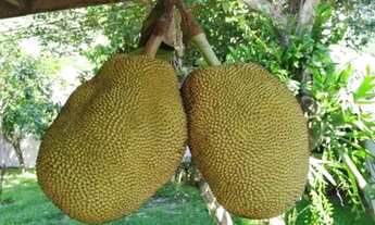 Imagem 7: VENDO SOBRADO - BAIRRO SÃO FRANCISCO - SÃO SEBASTIÃO - SÃO PAULO ESCRITURA DEFINITIVA