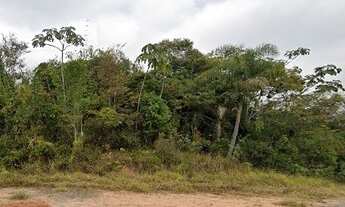 Imagem 5: Vendo Area Rural 24.000m² Excelente para Loteamento