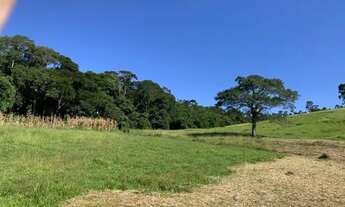 Imagem 4: VC - Vendo Terreno com 2 km do asfalto