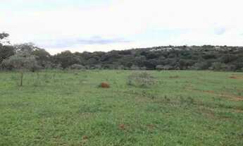 Imagem: Fazendinhas de 20.000m² com córrego nos