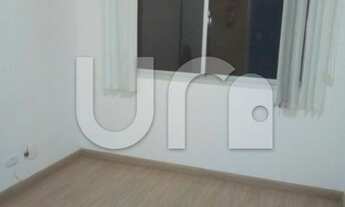 Imagem 2: APARTAMENTO PARA ALUGAR, 1 DORMITORIO, AV. LACERDA FRANCO
