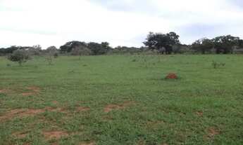 Imagem 2: Fazendinhas de 20.000m² com córrego nos fundos. Serra do Cipó (Temos varias opções)