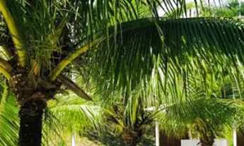 Imagem 7: Reserva do Parque | em fase de acabamento | 03 suítes | 04 vagas de garagem