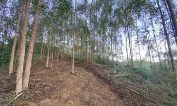 Imagem 7: 2 hectares com vista para a Pedra Azul