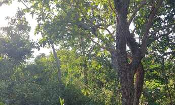 Imagem 5: Chacara 11.450 mt. Prox Novo Hospital Geral