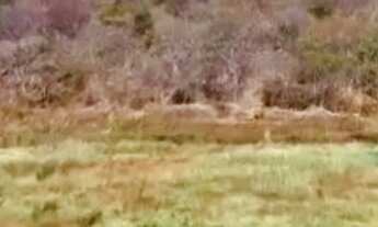 Imagem 3: Fazenda Pra Fruticultura....Área 1500 Hectares..