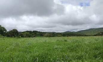 Imagem 3: Excelente fazenda em Niquelândia GO